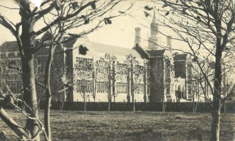 New-Building-1926_Through-the-trees