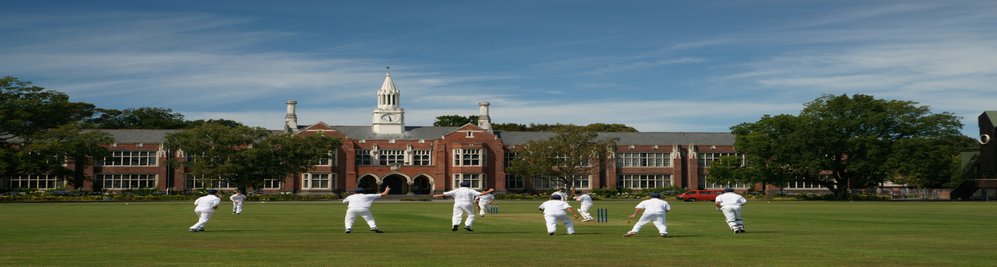 School cricket scene
