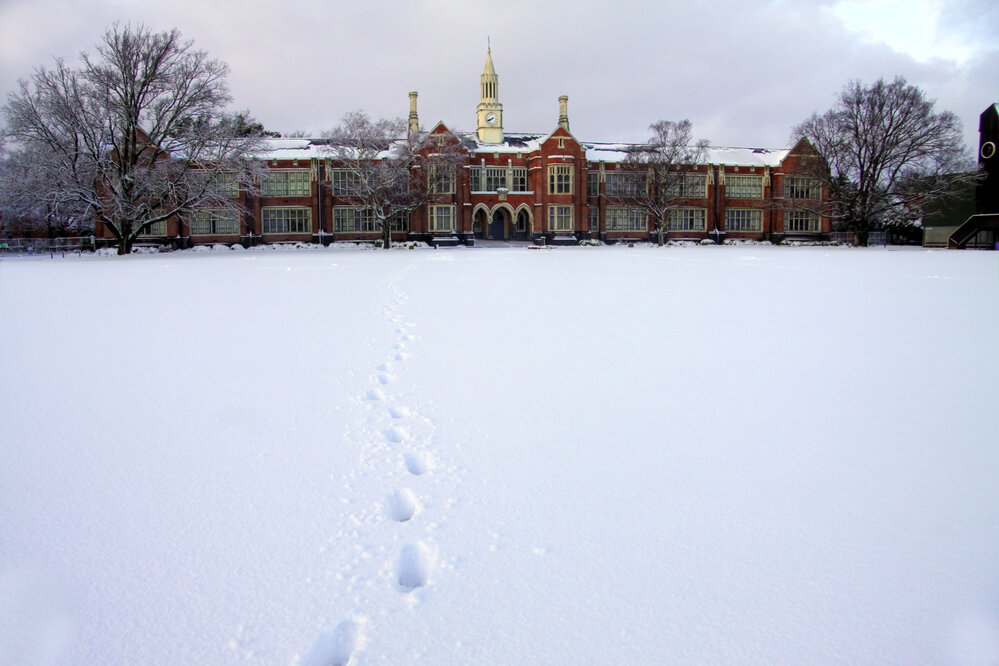 Snow Scene (footsteps)