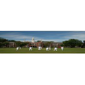 School cricket scene