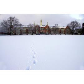 Snow Scene (footsteps)